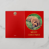 Carte De Vacances Métallisée Doodle d'or rouge (Mise à l'extérieur)