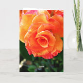 Carte De Vacances Métallisée Rose orange (Verso)