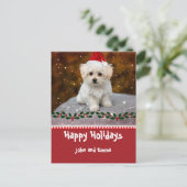 Carte de vacances modèle avec adorable chiot malta (Debout devant)