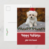Carte de vacances modèle avec adorable chiot malta (Devant / Derrière)