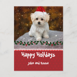Carte de vacances modèle avec adorable chiot malta