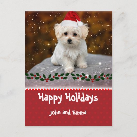 Carte de vacances modèle avec adorable chiot malta (Devant)