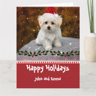 Carte de vacances modèle avec adorable chiot malta
