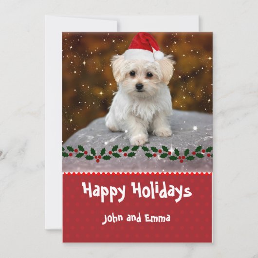 Carte de vacances modèle avec adorable chiot malta (Devant)