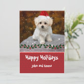 Carte de vacances modèle avec adorable chiot malta (Debout devant)