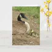 carte de vacances - Oie de la Fête des Mères avec (Fleur jaune)