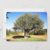 Carte de vacances Olive Tree Flat (Devant)