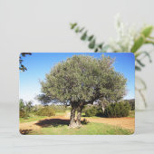 Carte de vacances Olive Tree Flat (Debout devant)