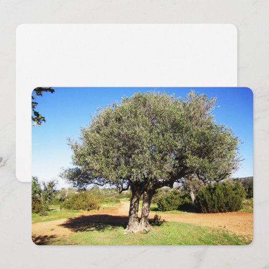 Carte de vacances Olive Tree Flat (Devant / Derrière)