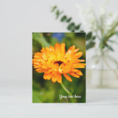 Carte de vacances Orange Marigold (Debout devant)