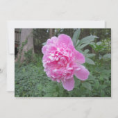 Carte de vacances Peony Flat (Devant)