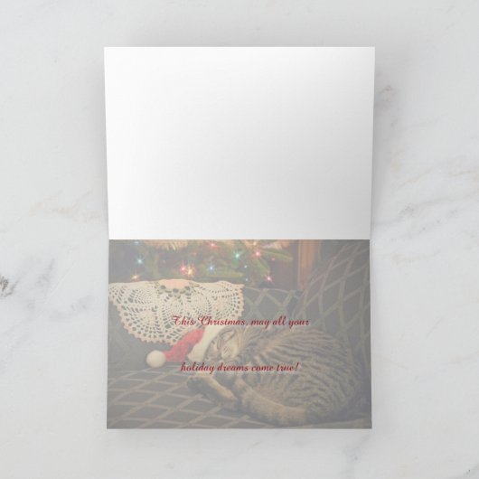 Carte de vacances Père Noël Daisy Kitty Chat Kitte (Intérieur)