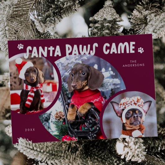 Carte de vacances père Noël Paws Cranberry Dog Pho