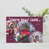 Carte de vacances père Noël Paws Cranberry Dog Pho (Debout devant)