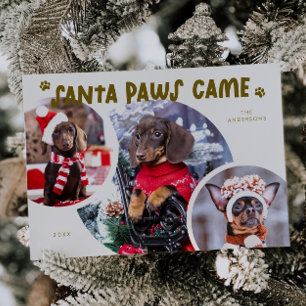 Carte de vacances père Noël Paws Cream Chien Photo