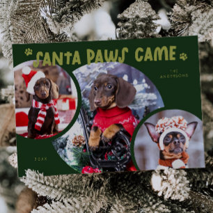 Carte de vacances père Noël Paws Green Chig Photo