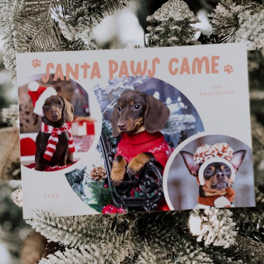 Carte de vacances père Noël Paws Peach Chien photo
