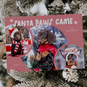 Carte de vacances père Noël Paws Pink Chien photo
