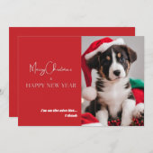 Carte de vacances photo de chien mou (Devant / Derrière)