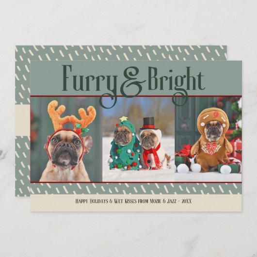 Carte de vacances photo de Noël pour chien furieux (Devant / Derrière)