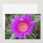 Carte de vacances Pigface Flat (Devant / Derrière)