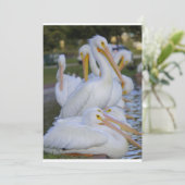 Carte de vacances Pile (Debout devant)