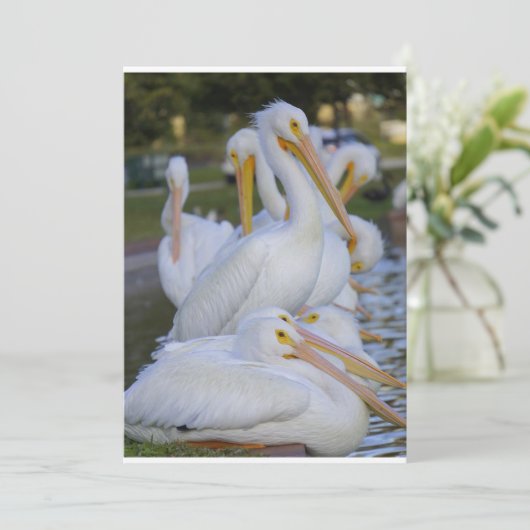 Carte de vacances Pile (Debout devant)