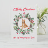 Carte de vacances plate avec un chaton adorable (Debout devant)