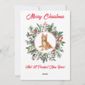 Carte de vacances plate avec un chaton adorable (Dos)