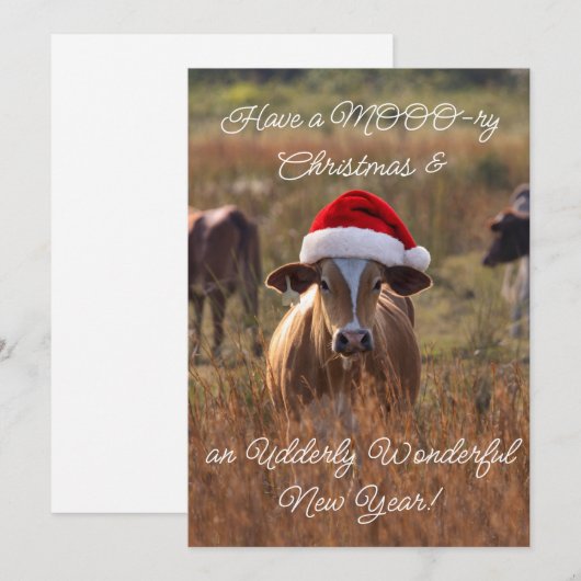 Carte de vacances plates (Devant / Derrière)