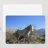 Carte de vacances Portrait de cheval (Devant / Derrière)