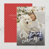 Carte de vacances pour animaux (Devant / Derrière)