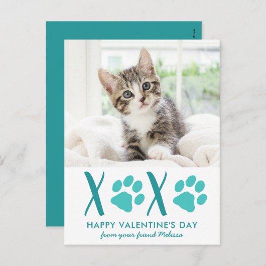 Carte de vacances pour animaux de compagnie de cha (Devant / Derrière)