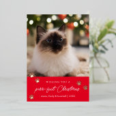 Carte de vacances pour animaux de compagnie de Noë (Debout devant)