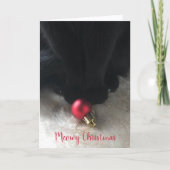 Carte de vacances pour animaux de compagnie de Noë (Devant)