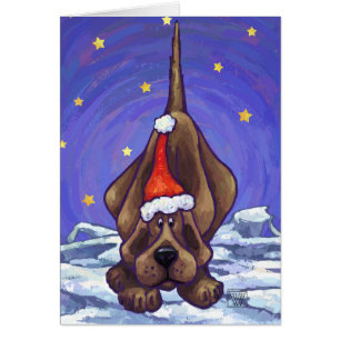 Carte de vacances pour chien chaton