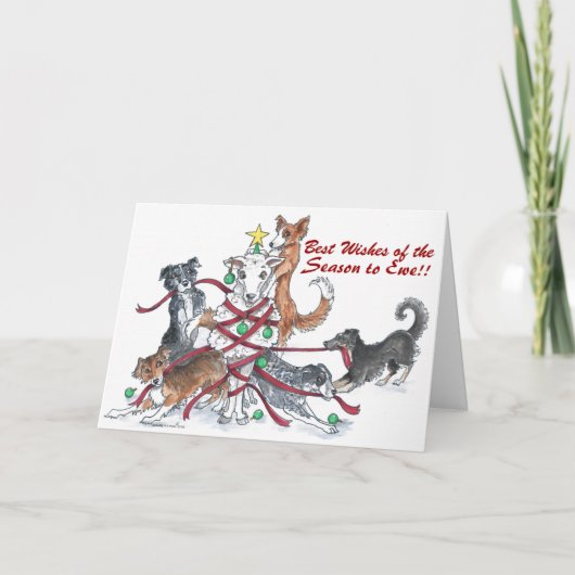 Carte de vacances pour chien de mouton (Devant)