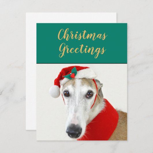 Carte de vacances pour chien de Noël greyhound (Devant / Derrière)