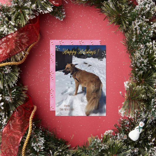 Carte de vacances pour chien vertical de script mo (Insitu)