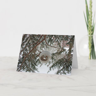 Carte de vacances pour oiseaux d'hiver
