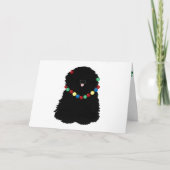 Carte de vacances Puli (Devant)