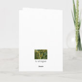 Carte de vacances, Queenstown maximal de Bob (Dos)