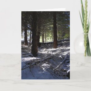 Carte de vacances, Queenstown maximal de Bob