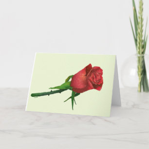 Carte de vacances Red Rose Valentine