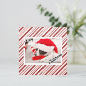 Carte de vacances Red Sucre de canne Stripe Photo (Debout devant)