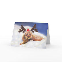 Carte de vacances Reindeer In Training