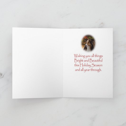 Carte de vacances Sheltie (Intérieur)