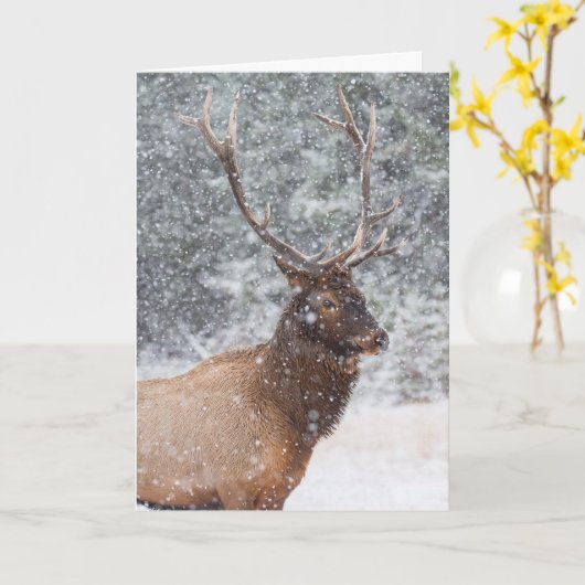 Carte de vacances "Snow Globe" (Fleur jaune)