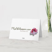 Carte de vacances sucres de canne (vierge à l'inté (Dos)