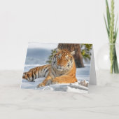 Carte de vacances Tiger (Devant)